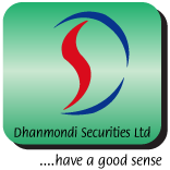 DSFM Securities Ltd logo